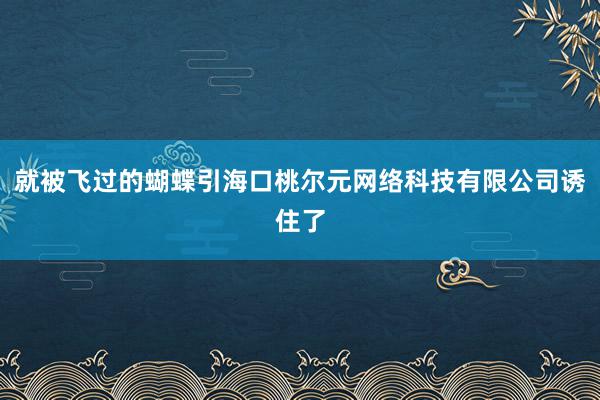 就被飞过的蝴蝶引海口桃尔元网络科技有限公司诱住了