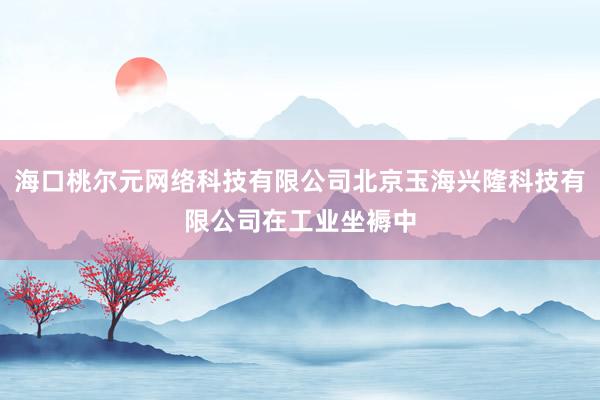海口桃尔元网络科技有限公司北京玉海兴隆科技有限公司在工业坐褥中
