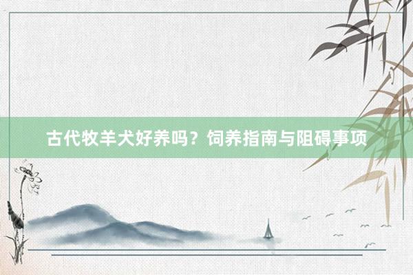 古代牧羊犬好养吗？饲养指南与阻碍事项